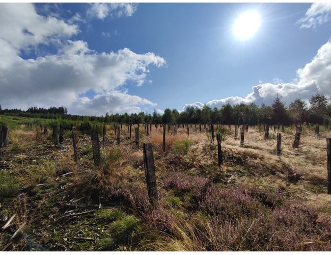 Gaine BrocarStop GP 220 - 30/120 cm